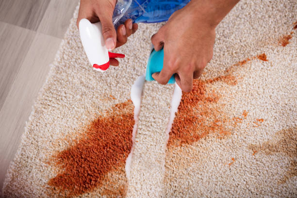 Очистка ковра от пятен в домашних условиях: эффективные методы и советы